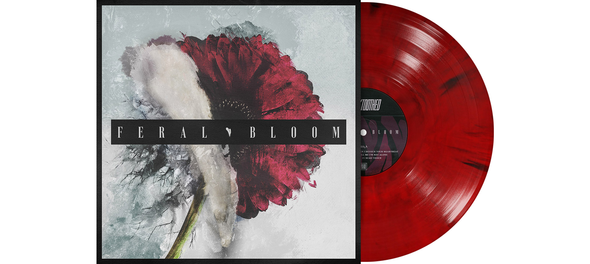 BLACKTOOTHED - Feral Bloom 12" LP - RED MARBLED