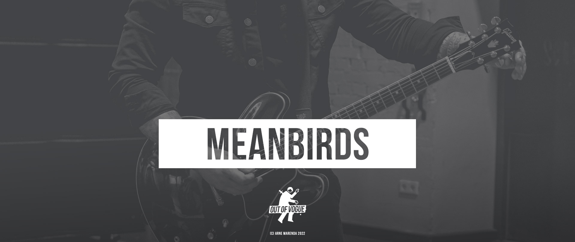 Meanbirds